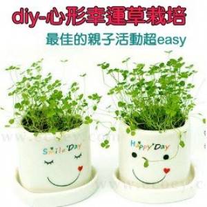 diy植栽 diy植栽